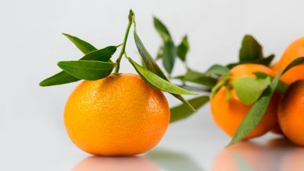 Mandarine : un agrume bon pour la santé