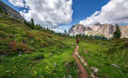 vue sur massif montagnard