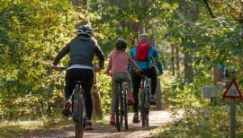 famille à vélo en forêt