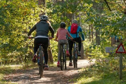 famille à vélo en forêt