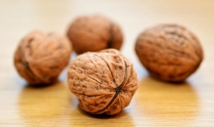 fruits à coque : noix de Grenoble