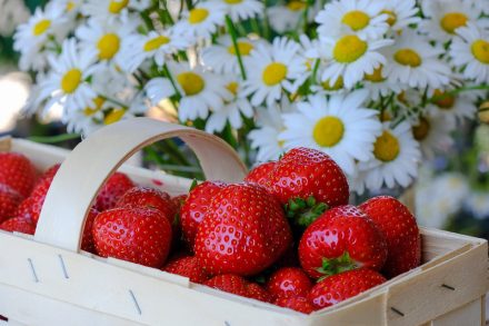 fraises dans une barquette et marguerites en arrière-plan