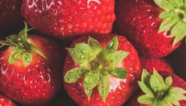 fraises en gros plan