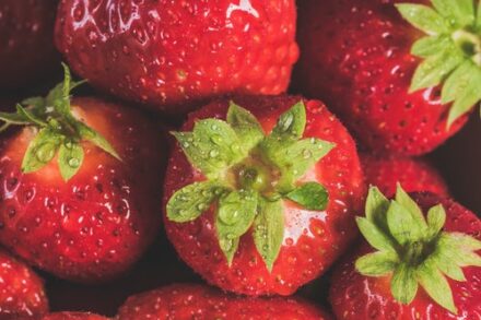 fraises en gros plan